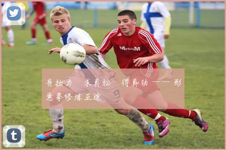 弃拙力・求真松・得真劲 —— 形意拳修炼正途