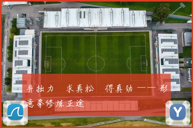 弃拙力・求真松・得真劲 —— 形意拳修炼正途