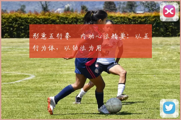 形意五行拳・内功心法精要:以五行为体,以劲法为用