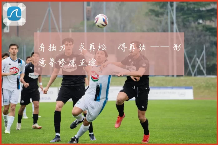 弃拙力・求真松・得真劲 —— 形意拳修炼正途