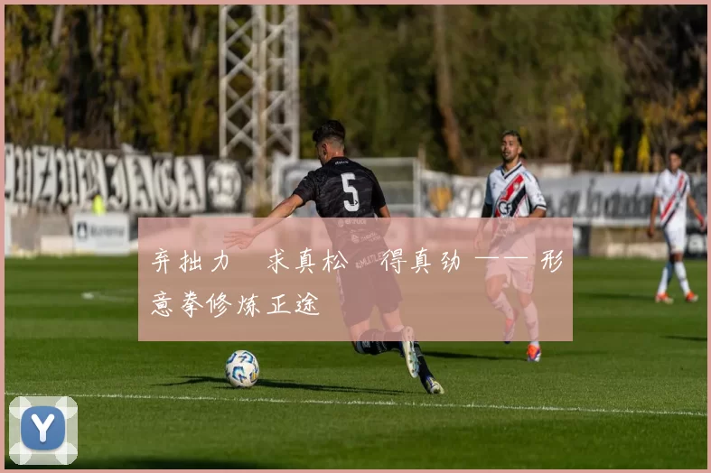 弃拙力・求真松・得真劲 —— 形意拳修炼正途