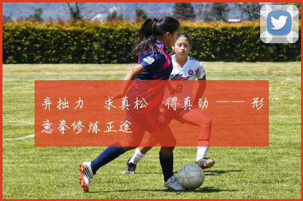 弃拙力・求真松・得真劲 —— 形意拳修炼正途