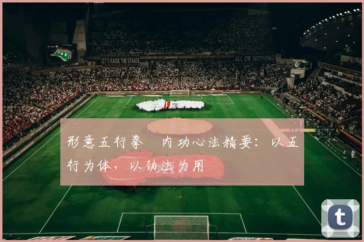 形意五行拳・内功心法精要：以五行为体，以劲法为用