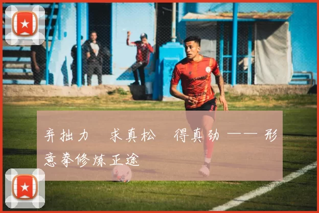 弃拙力・求真松・得真劲 —— 形意拳修炼正途