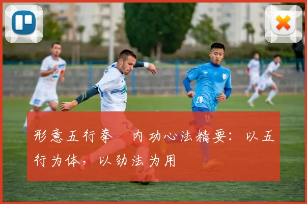 形意五行拳・内功心法精要:以五行为体,以劲法为用