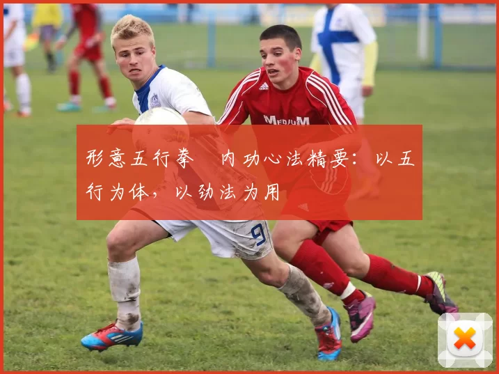 形意五行拳・内功心法精要：以五行为体，以劲法为用