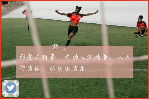 形意五行拳・内功心法精要：以五行为体，以劲法为用