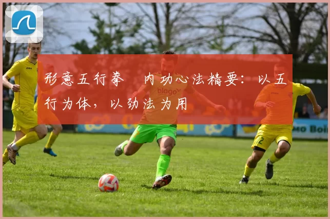 形意五行拳・内功心法精要：以五行为体，以劲法为用