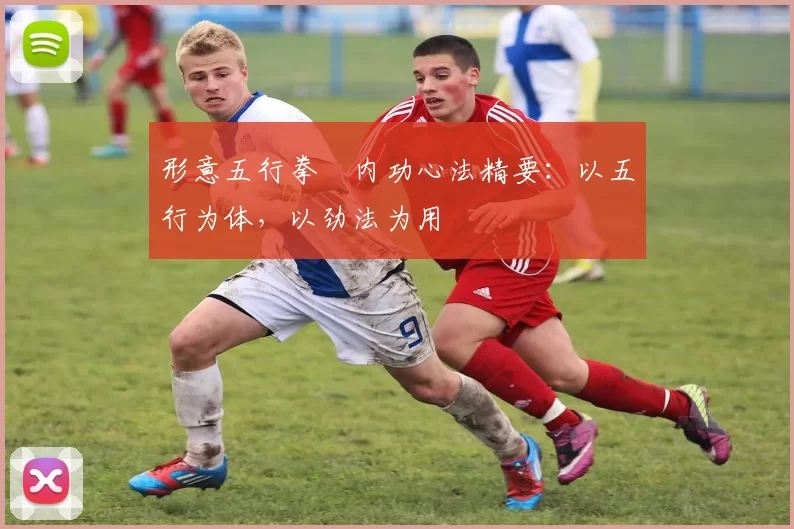 形意五行拳・内功心法精要：以五行为体，以劲法为用