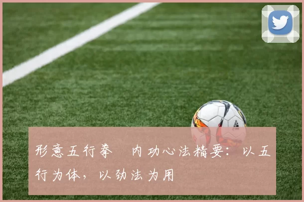 形意五行拳・内功心法精要：以五行为体，以劲法为用