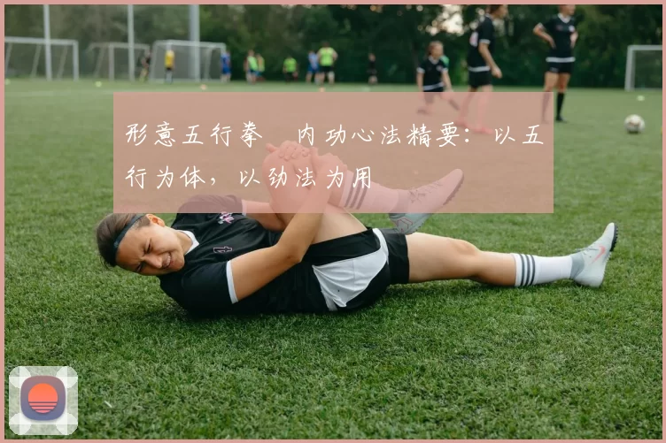 形意五行拳・内功心法精要：以五行为体，以劲法为用