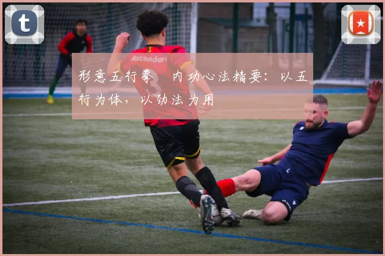 形意五行拳・内功心法精要：以五行为体，以劲法为用