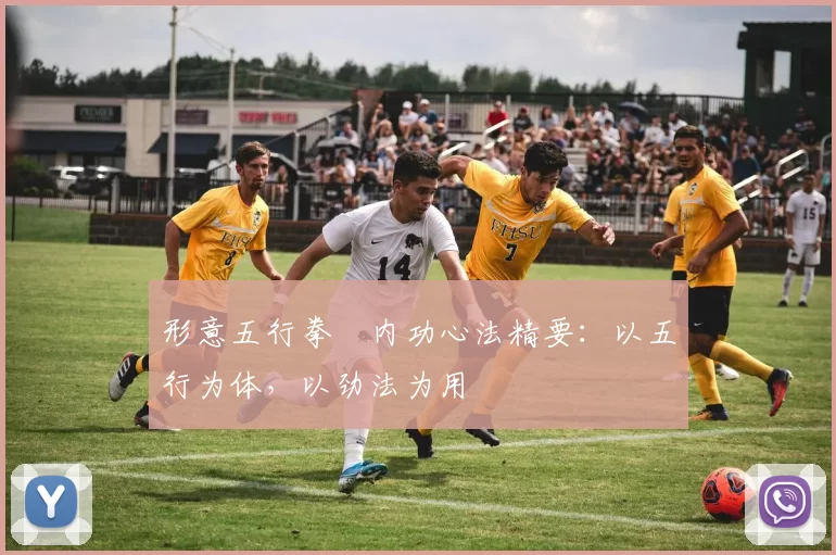 形意五行拳・内功心法精要：以五行为体，以劲法为用