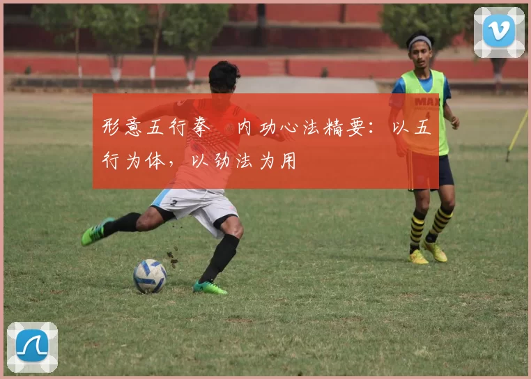 形意五行拳・内功心法精要：以五行为体，以劲法为用