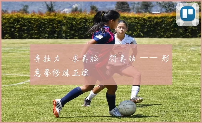 弃拙力・求真松・得真劲 —— 形意拳修炼正途