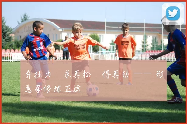 弃拙力・求真松・得真劲 —— 形意拳修炼正途