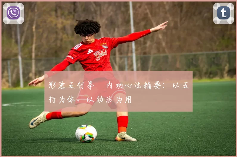 形意五行拳・内功心法精要：以五行为体，以劲法为用