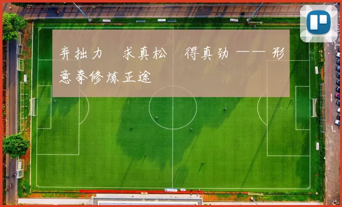 弃拙力・求真松・得真劲 —— 形意拳修炼正途