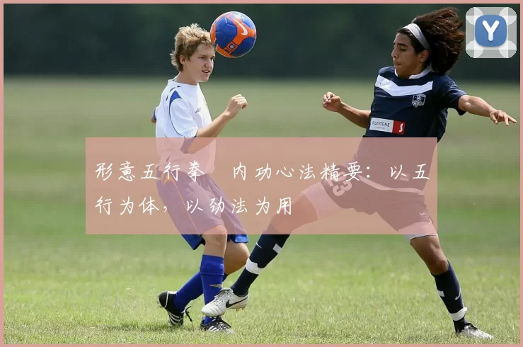 形意五行拳・内功心法精要:以五行为体,以劲法为用