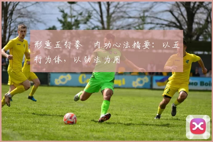 形意五行拳・内功心法精要：以五行为体，以劲法为用