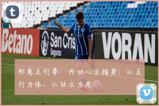 形意五行拳・内功心法精要：以五行为体，以劲法为用