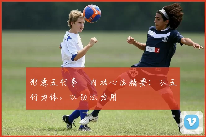 形意五行拳・内功心法精要：以五行为体，以劲法为用