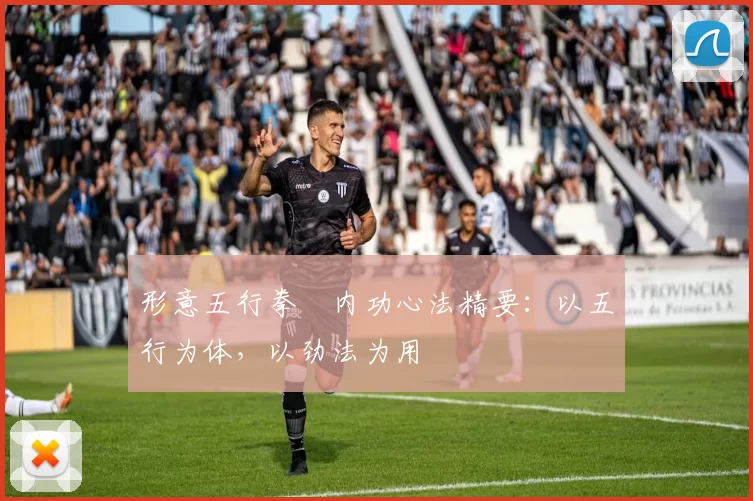 形意五行拳・内功心法精要：以五行为体，以劲法为用