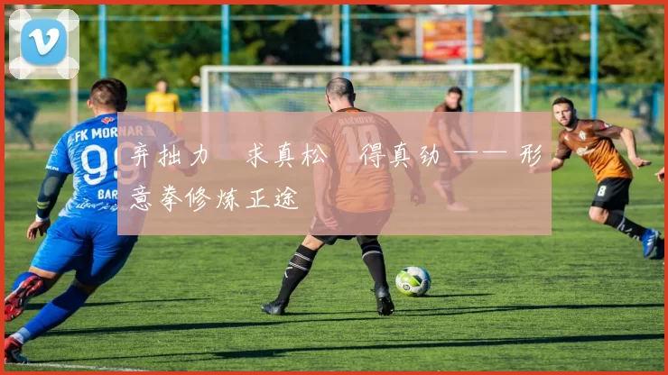 弃拙力・求真松・得真劲 —— 形意拳修炼正途