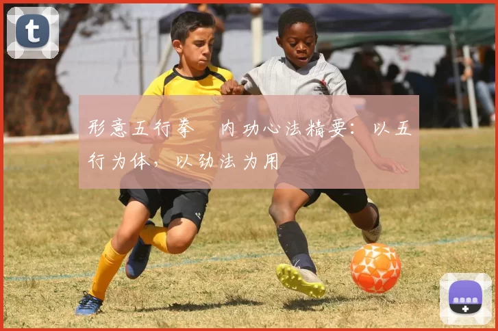 形意五行拳・内功心法精要:以五行为体,以劲法为用