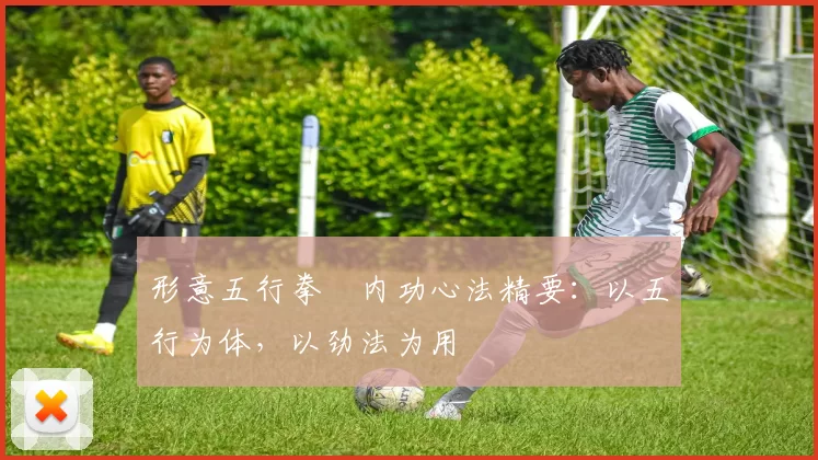 形意五行拳・内功心法精要：以五行为体，以劲法为用