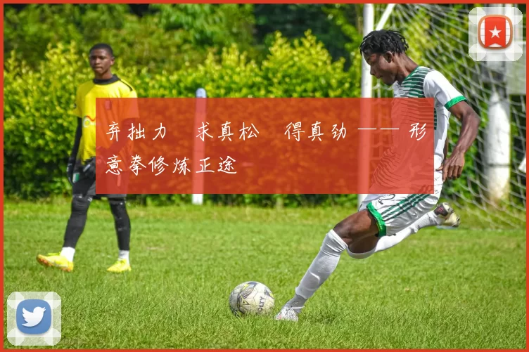 弃拙力・求真松・得真劲 —— 形意拳修炼正途