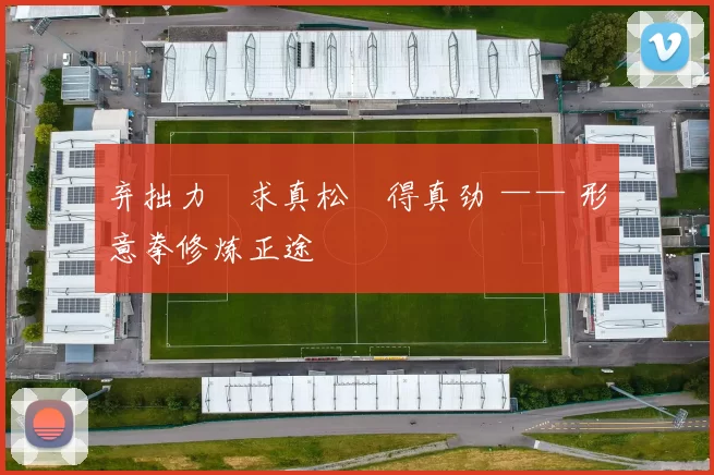 弃拙力・求真松・得真劲 —— 形意拳修炼正途