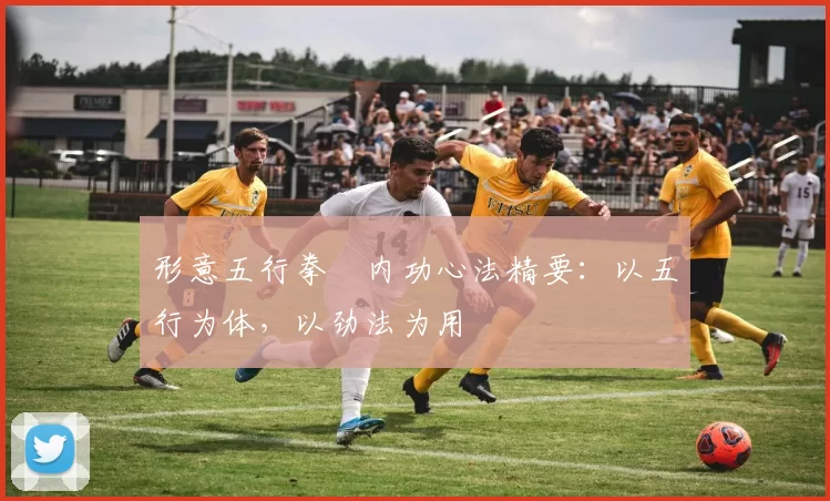 形意五行拳・内功心法精要：以五行为体，以劲法为用