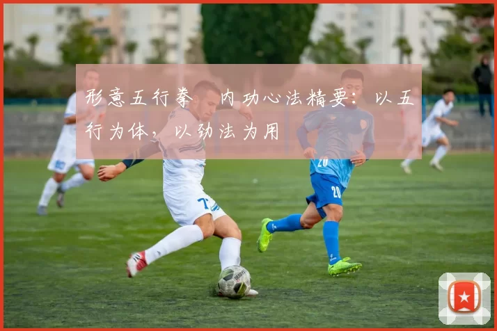 形意五行拳・内功心法精要：以五行为体，以劲法为用