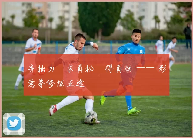 弃拙力・求真松・得真劲 —— 形意拳修炼正途