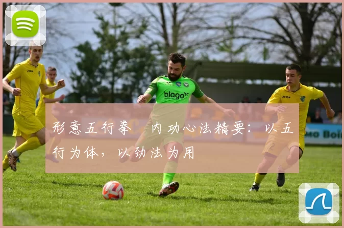 形意五行拳・内功心法精要：以五行为体，以劲法为用