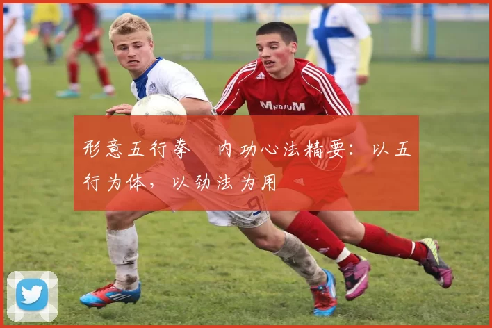 形意五行拳・内功心法精要:以五行为体,以劲法为用