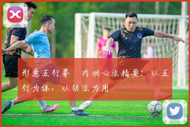 形意五行拳・内功心法精要:以五行为体,以劲法为用