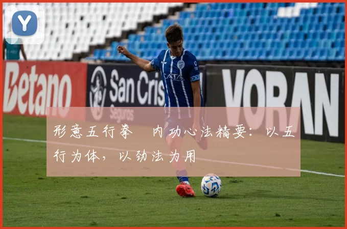形意五行拳・内功心法精要：以五行为体，以劲法为用