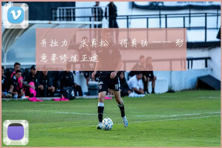 弃拙力・求真松・得真劲 —— 形意拳修炼正途