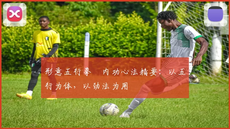 形意五行拳・内功心法精要:以五行为体,以劲法为用