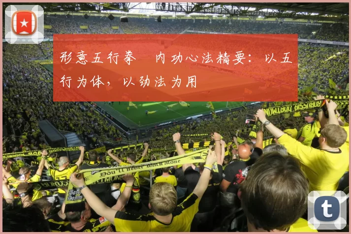 形意五行拳・内功心法精要：以五行为体，以劲法为用