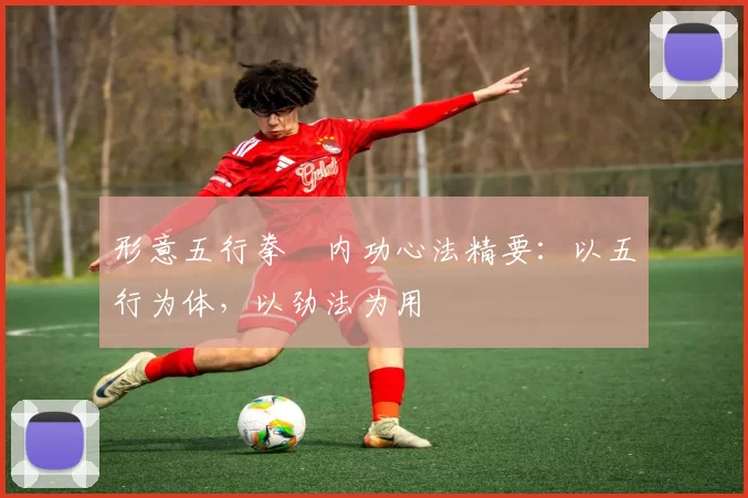 形意五行拳・内功心法精要：以五行为体，以劲法为用