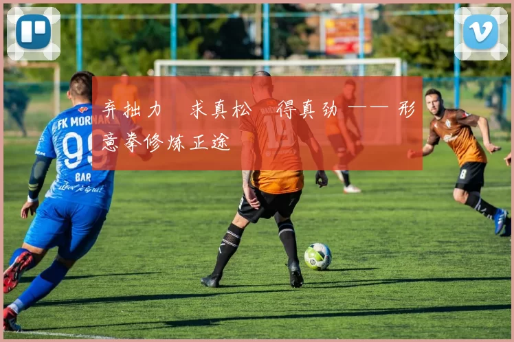 弃拙力・求真松・得真劲 —— 形意拳修炼正途