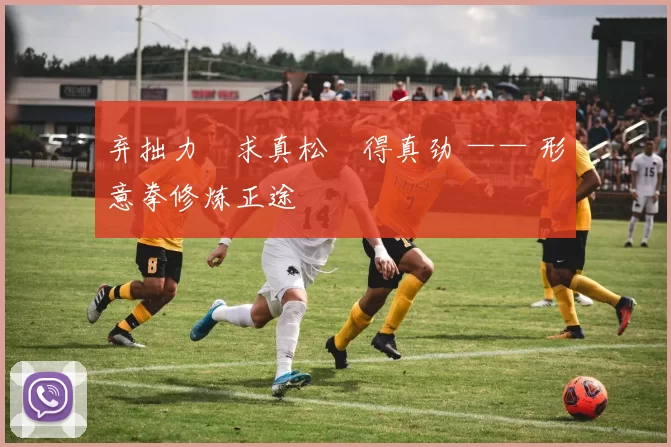 弃拙力・求真松・得真劲 —— 形意拳修炼正途