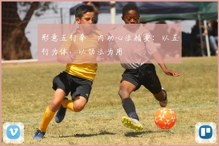 形意五行拳・内功心法精要:以五行为体,以劲法为用