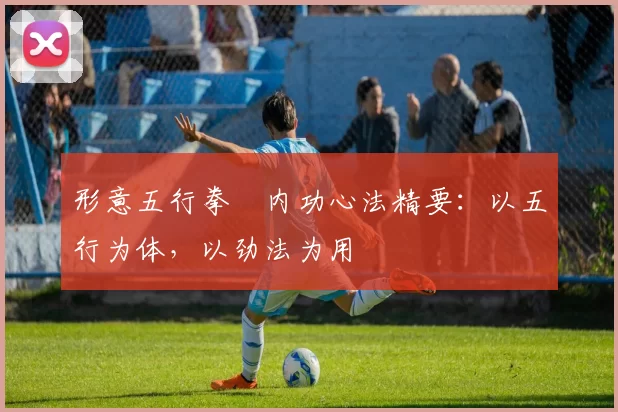 形意五行拳・内功心法精要:以五行为体,以劲法为用