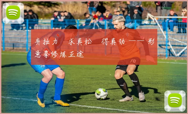 弃拙力・求真松・得真劲 —— 形意拳修炼正途