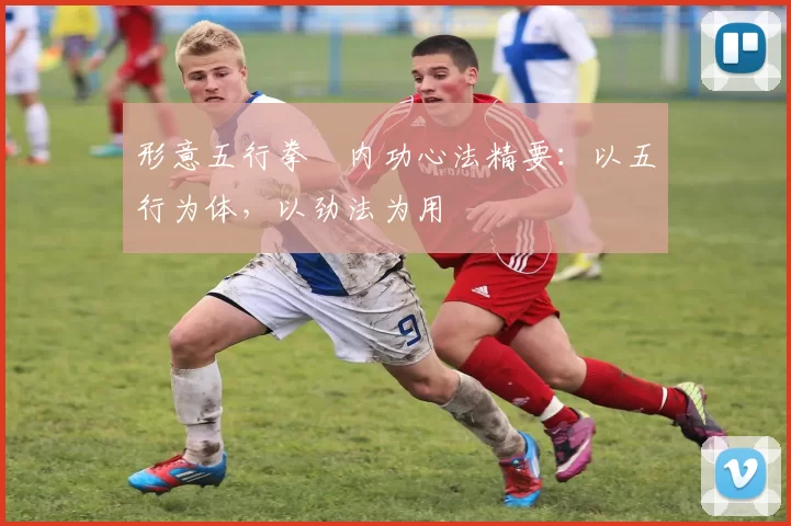 形意五行拳・内功心法精要：以五行为体，以劲法为用