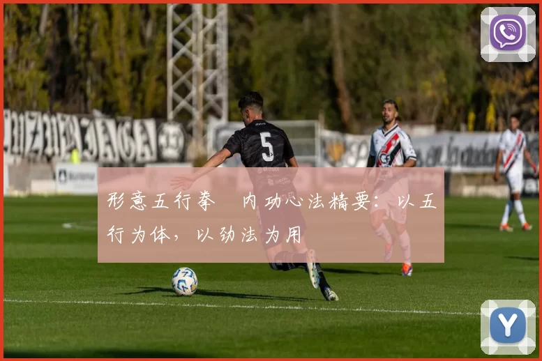 形意五行拳・内功心法精要:以五行为体,以劲法为用